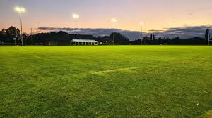 Image result for St Mary's Old Boys Rugby Football Club