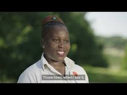 Image result for Anglo-American Sac