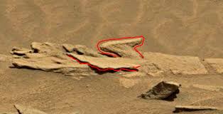 Image result for mars anomalies