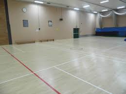 Image result for Hull Chevrons Netball Club