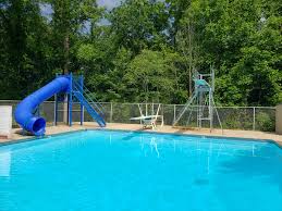 Image result for Mole Valley Sub Aqua Club
