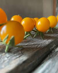 Afbeeldingsresultaat voor broad ripple yellow currant tomato