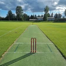 Image result for Forest Green Estonia Cricket Club