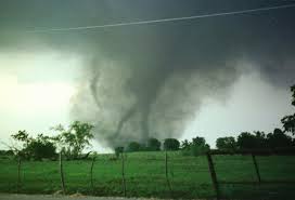 Image result for Tadcaster Tornadoes