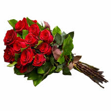 Image result for Red Rose Cc