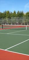 Image result for South London Area Pickleball - SLAP!