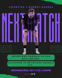 Image result for Weybridge Vandals Rugby Club