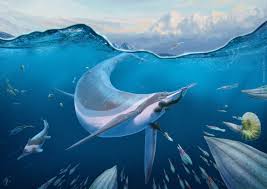 Image result for Basildon I.S.H.C.