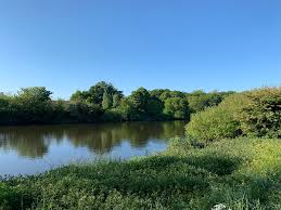 Image result for Wheatley Hill Angling Club