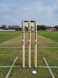 Image result for Furness Cricket Club