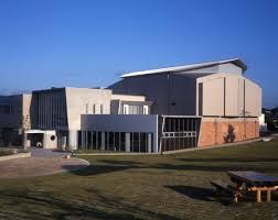 Image result for 國奴