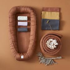 Attēlu rezultāti vaicājumam “Diaperis boleti nest”