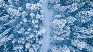 Image result for ice storm