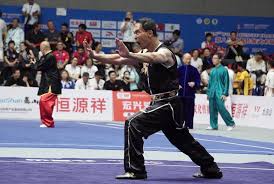 Image result for Professional  Martial Arts Academy
