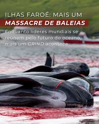 Image result for massacre golfinhos dinamarca