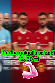 Image result for Manunitid