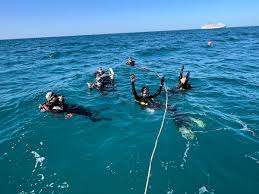 Image result for Southdown Divers