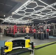 Image result for Fightback Martial Arts Centre, Epsom