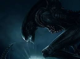 Image result for xenomorph