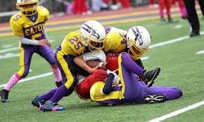 Image result for Eaton Eagles Badminton Club