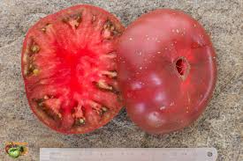 Afbeeldingsresultaat voor black brandywine tomato