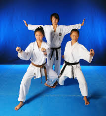 Image result for Mickleham Seiki Juku Karate Club