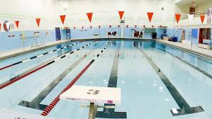 Image result for York University Pool Club