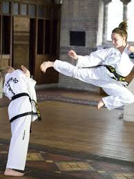 Image result for London Colney Tae Kwon Do  (I.T.F. / LTSI / A.F.T.)