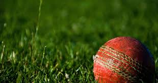 Image result for Basingstoke & North Hants Cricket Club