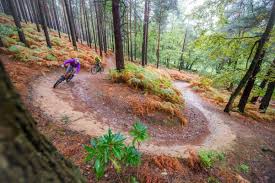 Image result for Epping Forest Mountain Bike Club
