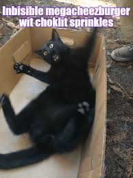 Image result for invisible cat