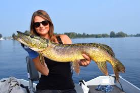 Image result for vissen