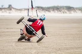 Image result for Baiter Power Kite