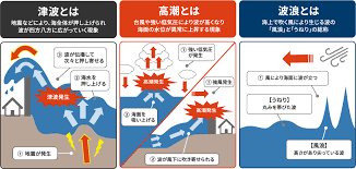 Image result for 高潮 津波 別物