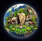 Earth Day Pictures Gallery