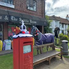 Image result for The Chobham Common Riders Association