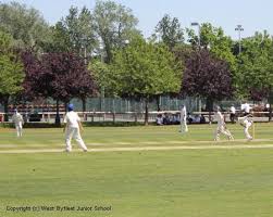 Image result for Byfleet Cricket Club
