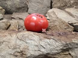 Afbeeldingsresultaat voor crnkovic yugoslavian tomato