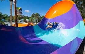 Image result for rosa aquatica