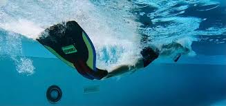 Image result for Swansea Finswimming Club