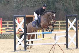 Image result for Cranleigh School Stables