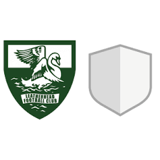 Image result for Leatherhead Football Club