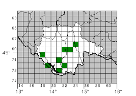 Attēlu rezultāti vaicājumam “Tetratoma ancora”