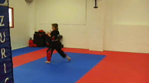 Image result for Ji Shin Do Karate