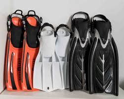 Image result for Exe To Sea Diving