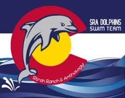 Image result for Dolphins Sheltered & Disabled Swim Club