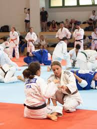 Image result for Dallo Martial Arts