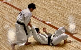 Image result for Durham University Shorinji Kempo Society Club