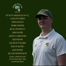 Image result for Lingfield Cricket Club