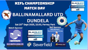 Image result for Ballinamallard United Football Club